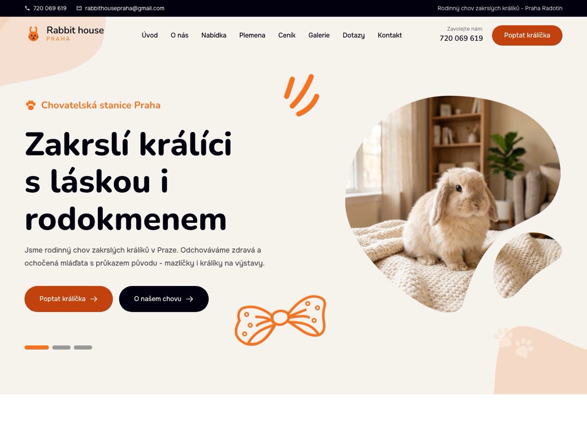 Náhled webu Rabbit House Praha