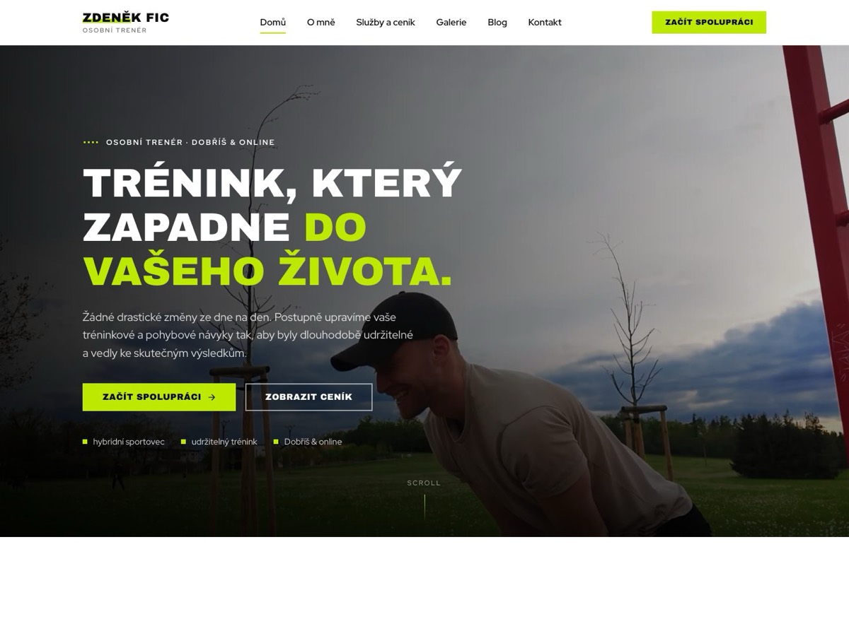 Náhled webu Zdeněk Fic